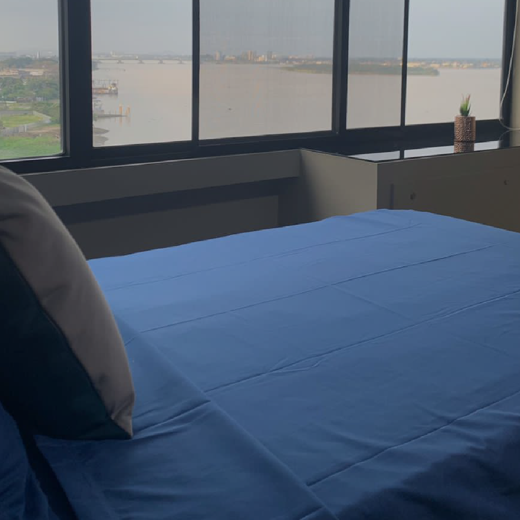 17ea8077-868f-426f-89c5-d9c6ee423698-01